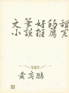 文笔好的甜宠文小说推荐完结