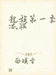 龙族第一季无删减版封面