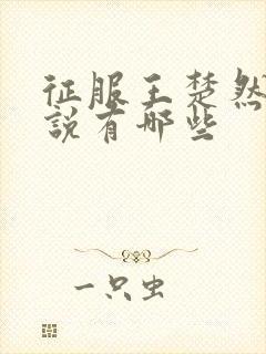 征服王楚然的小说有哪些