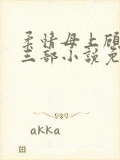 柔情母上顾为第三部小说免费阅读