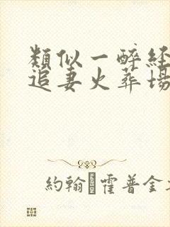 类似一醉经年的追妻火葬场双男主文封面