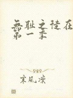 无耻之徒在线看第一季