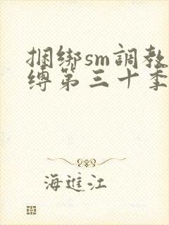 捆绑sm调教束缚第三十季