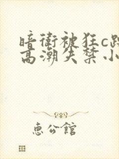 暗卫被狂c躁到高潮失禁小说封面