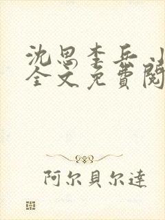 沈思李兵 小说全文免费阅读