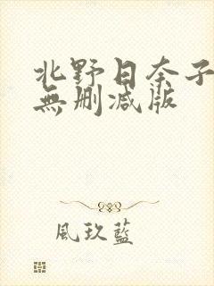北野日奈子三级无删减版