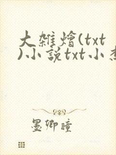 大杂烩(txt)小说txt小杰