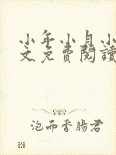 小年小月小说全文免费阅读无弹窗