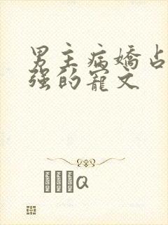 男主病娇占有欲强的宠文