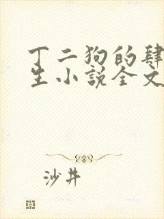 丁二狗的肆意人生小说全文下载封面