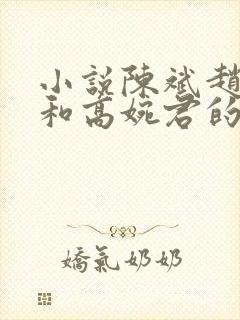 小说陈斌赵心媚和高婉君的小说免费阅读封面