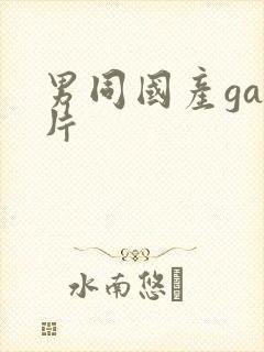 男同国产gay片封面