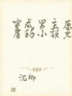 穿成男主原配陪房的小说免费阅读