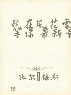 我在风花雪月里等你 最新章节