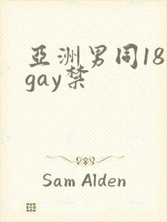 亚洲男同18 gay禁