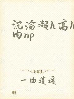 沉沦超h高h污肉np