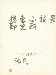 杨东小说最新章节更新