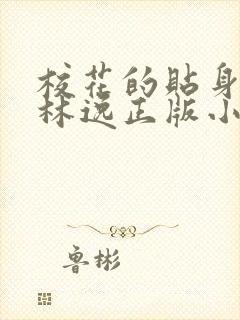 校花的贴身高手林逸正版小说封面