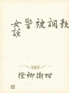 女警被调教的小说封面