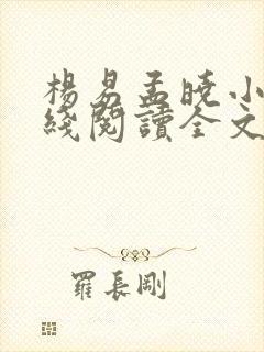 杨易孟晓小说在线阅读全文