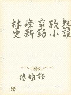 林峰宁欣然超前更新的小说