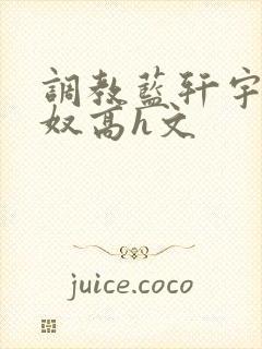 调教蓝轩宇成肉奴高h文