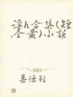 淫h合集(短篇,全黄)小说