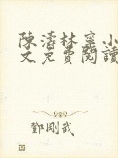 陈涛林宁小说全文免费阅读无弹窗