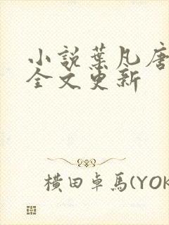 小说叶凡唐若雪全文更新