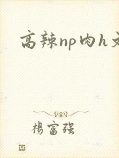 高辣np肉h文