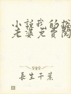 小说我的总裁大老婆免费阅读