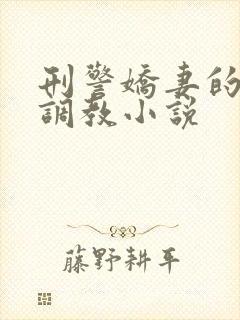 刑警娇妻的变态调教小说封面