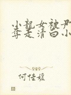 小龙女被尹志平夺走清白小说封面