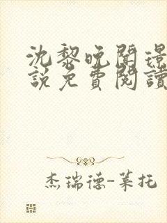 沈黎晚闻璟川小说免费阅读最新章节封面