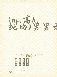 (np,高h,纯肉)男男文