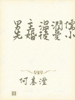 男主温润儒雅的先婚后爱小说