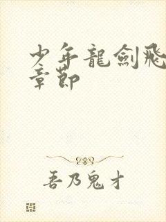 少年龙剑飞最新章节封面