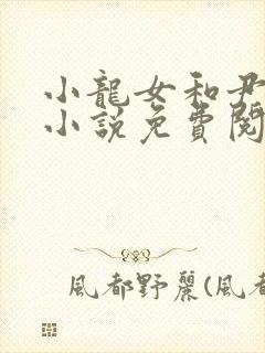 小龙女和尹志平小说免费阅读封面