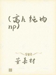 (高h 纯肉 np)