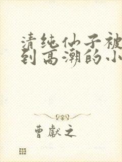 清纯仙子被玩弄到高潮的小说