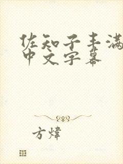 佐知子丰满人妻中文字幕