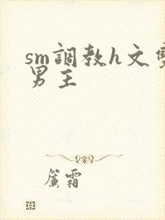 sm调教h文双男主