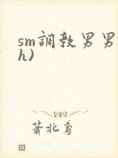 sm调教男男(h)