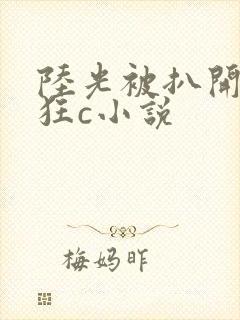 陆光被扒开双腿狂c小说