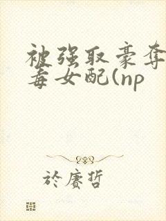 被强取豪夺的恶毒女配(np