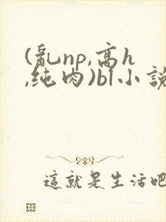 (乱np,高h,纯肉)bl小说