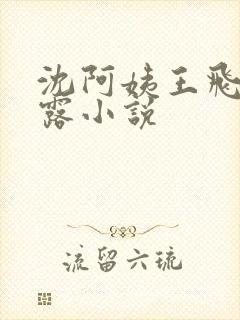 沈阿姨王飞李露露小说