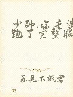 少帅,你老婆又跑了完整版免费观看