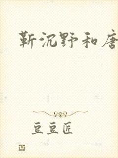 靳沉野和唐栖雾