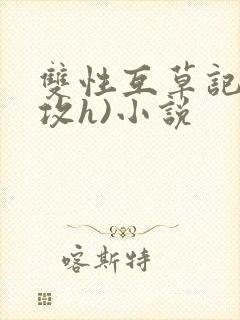 双性互草记(互攻h)小说